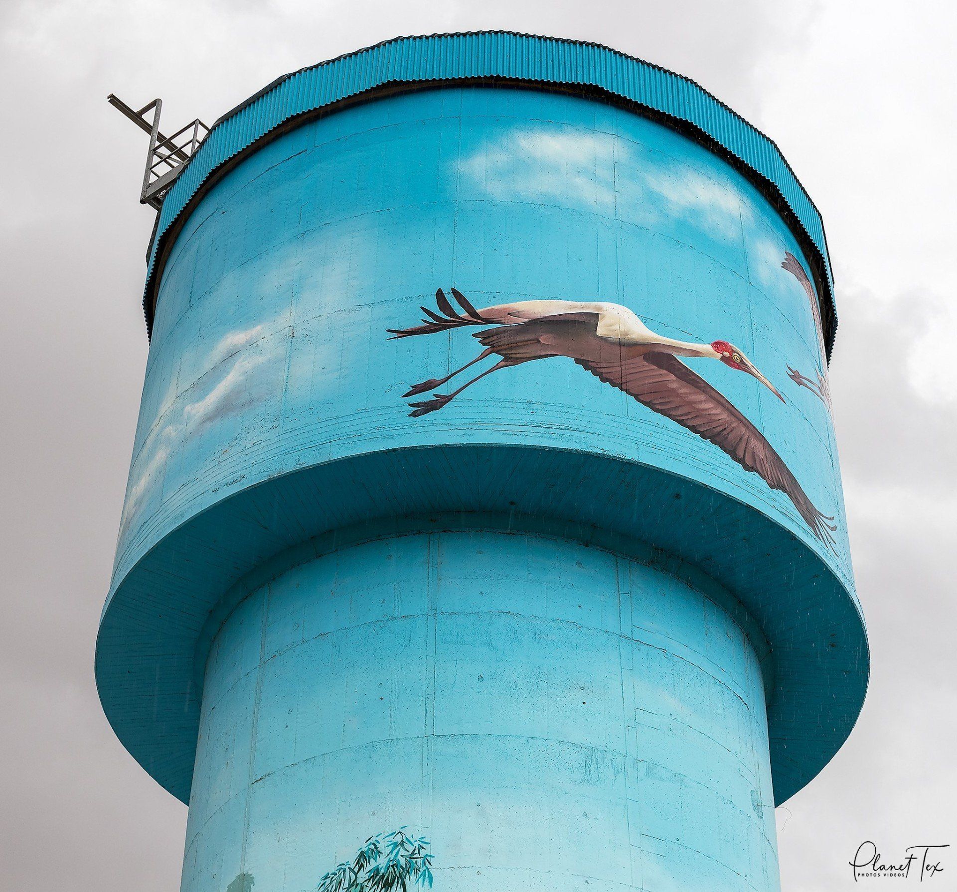Lockhart Water Tower Art, Australian Silo Art Trail, Krimsone