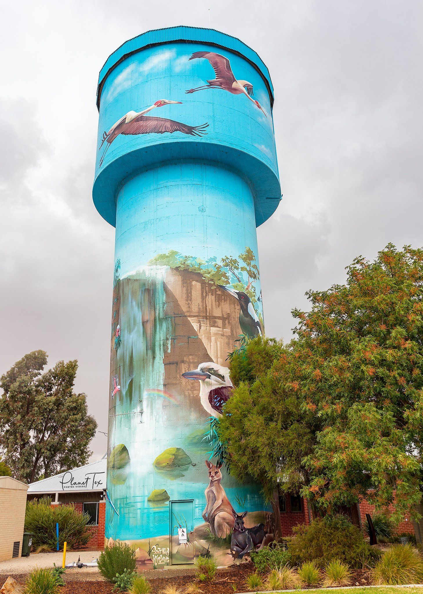 Lockhart Water Tower Art, Australian Silo Art Trail, Krimsone