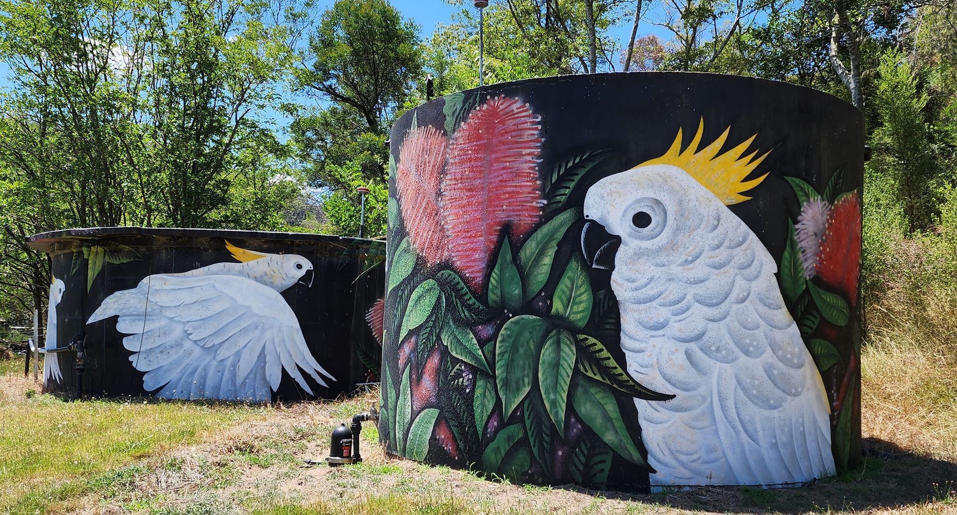 Londonderry Water Tank Art, Australian Silo Art Trail