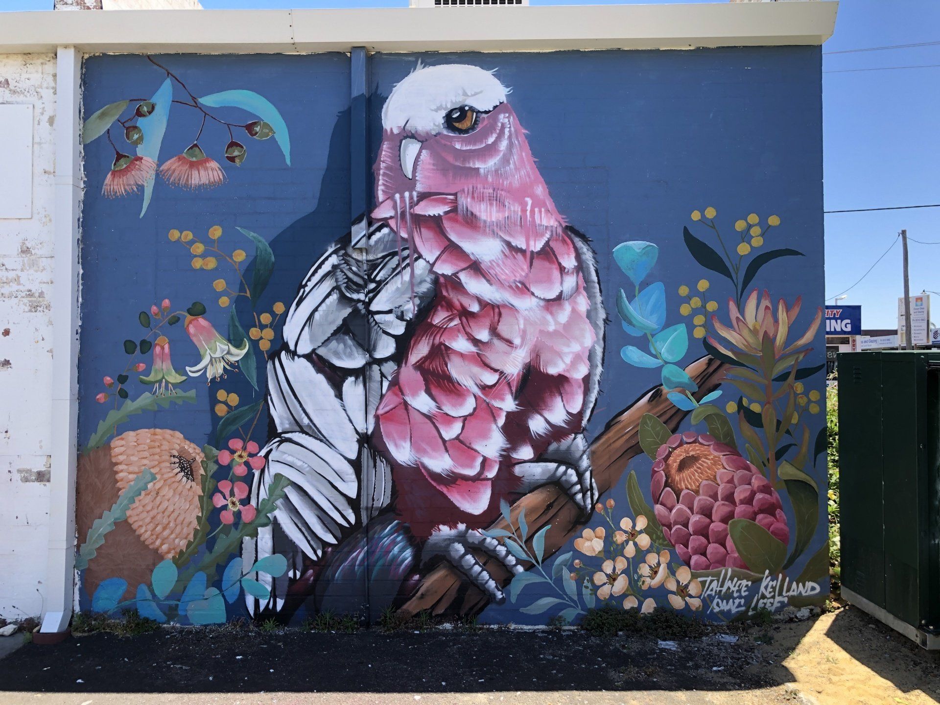 Australian Silo Art Trail, Mandurah Street Art