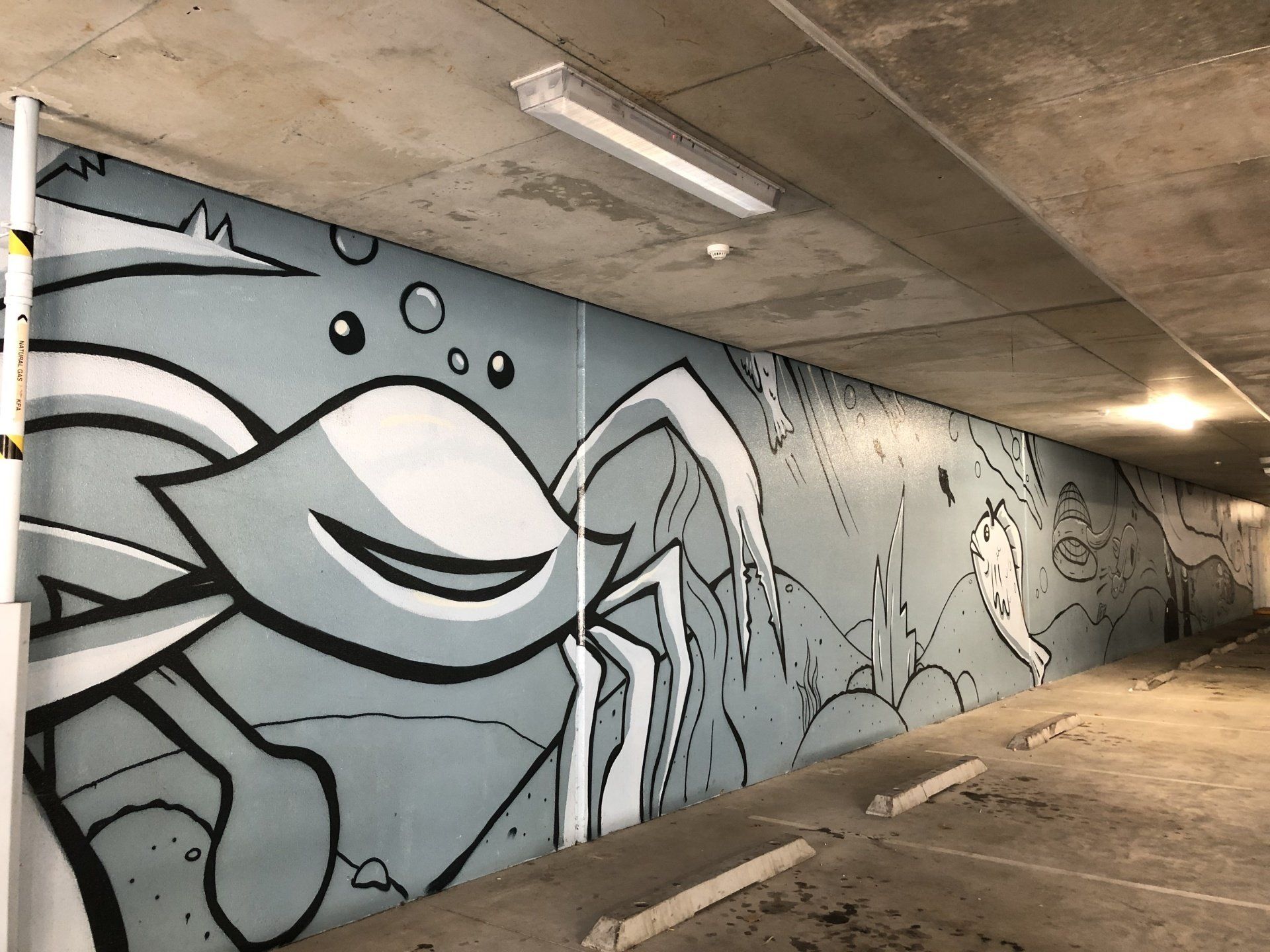 Australian Silo Art Trail, Mandurah Street Art
