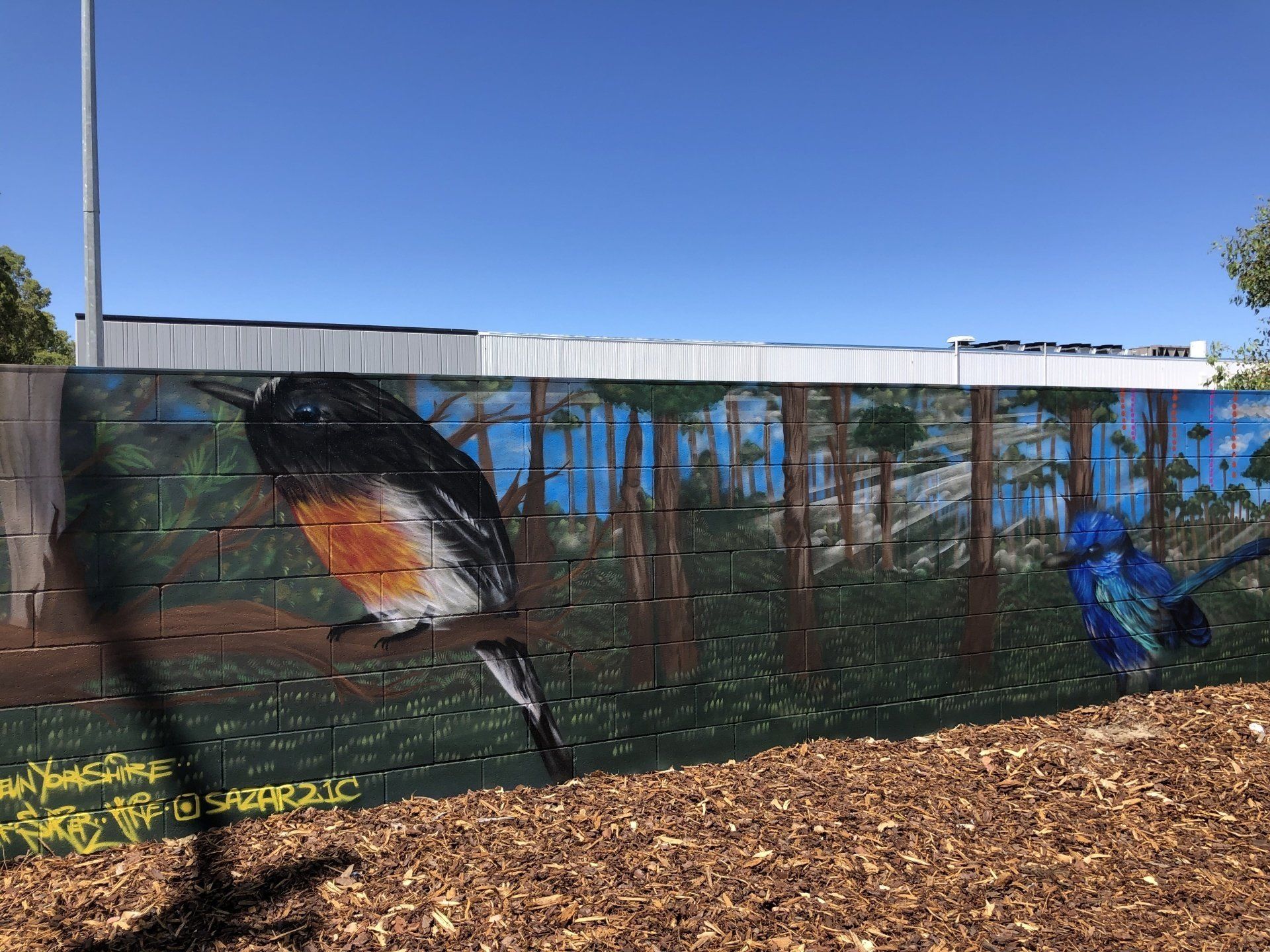 Australian Silo Art Trail, Mandurah Street Art