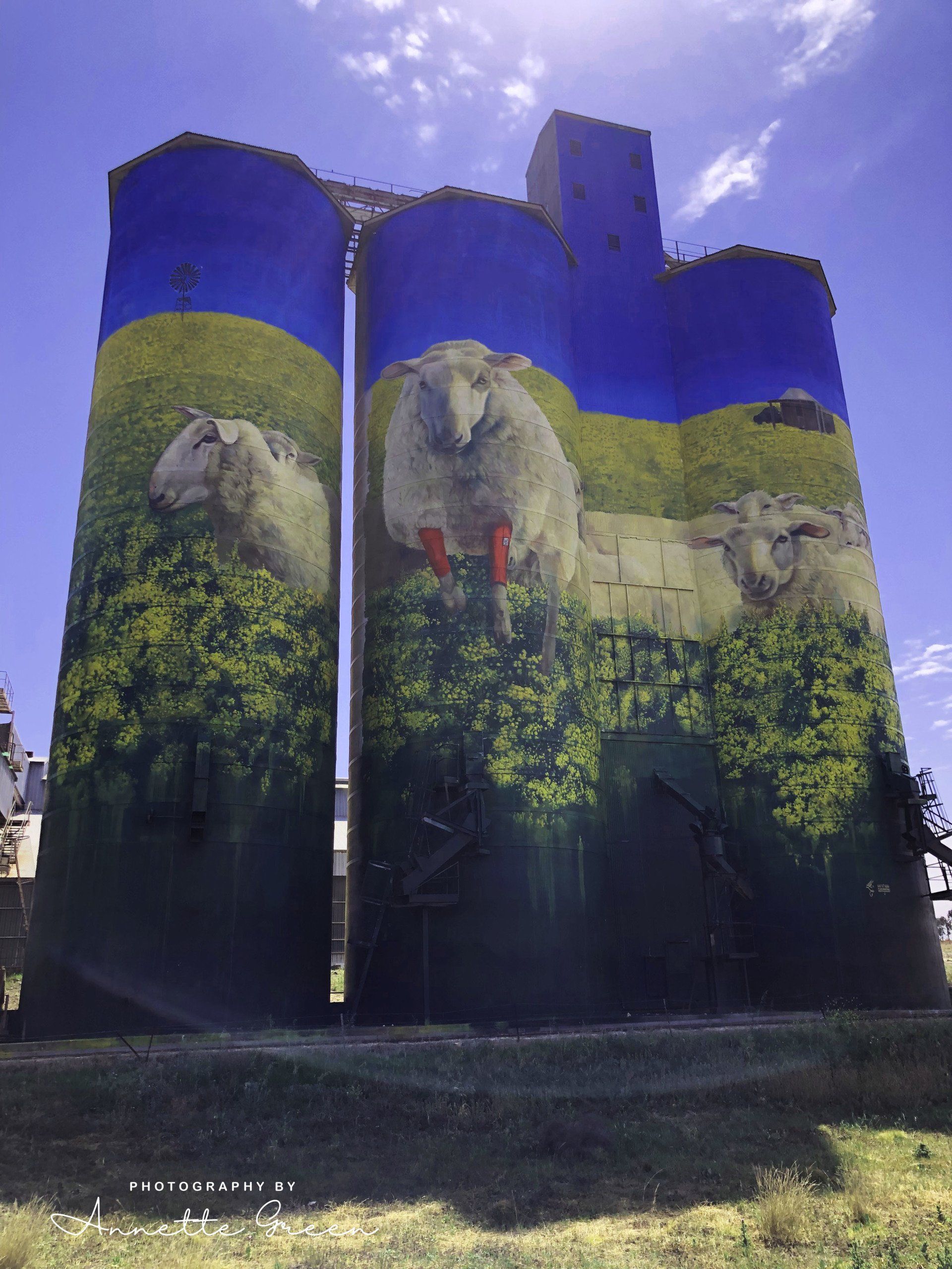 Merriwa Silo Art, Australian Silo Art Trail