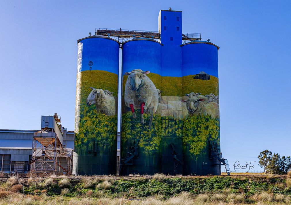 Merriwa Silo Art