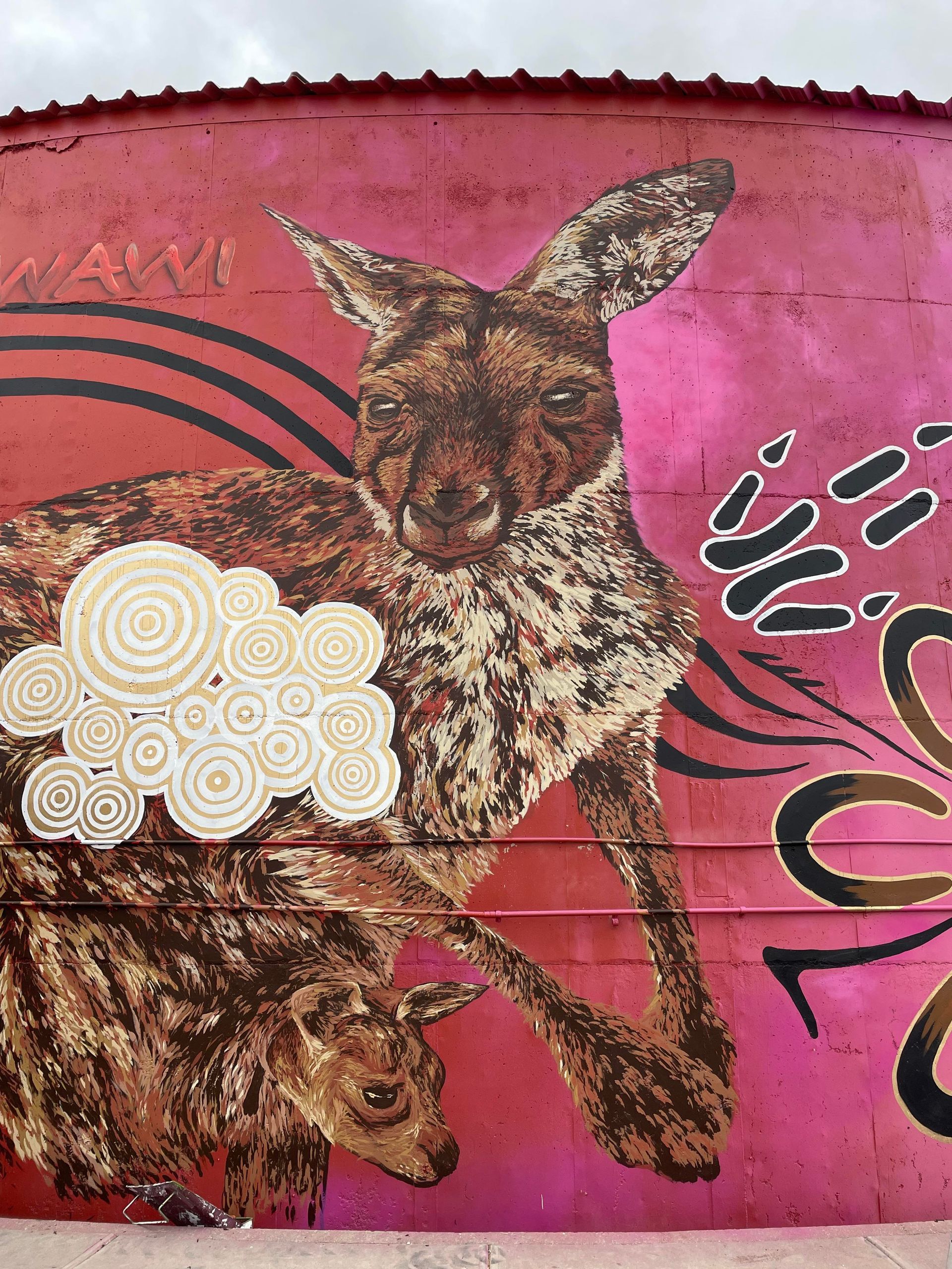 Minlacowie Water Tank Art, Australian Silo Art Trail