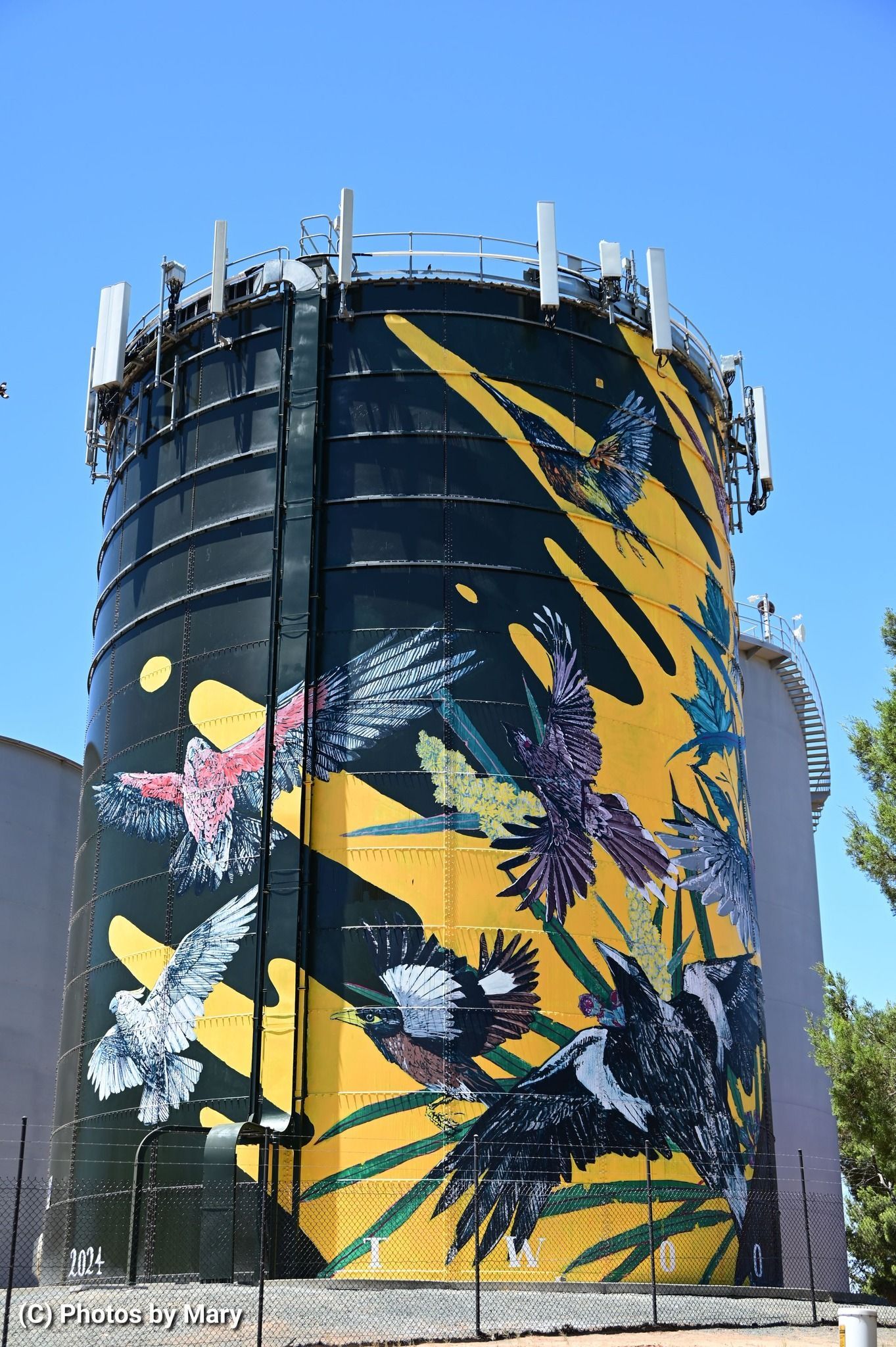 Bourke Water Tower Art, Australian Silo Art Trail