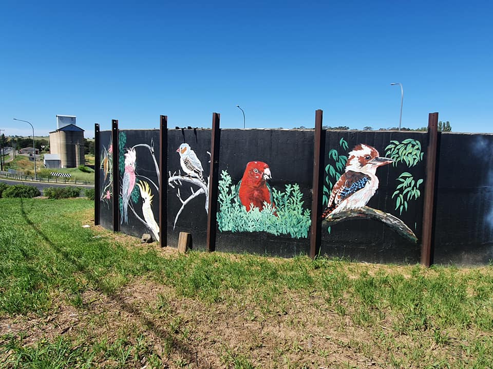 molong water tank, Australian silo art trail