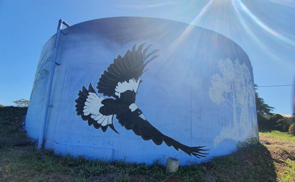 molong water tank, Australian silo art trail