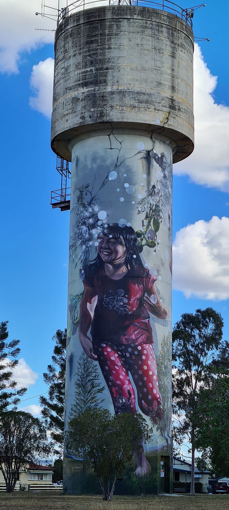 Monto, Australian Silo Art Trail, Water Tower Art, Silo Art