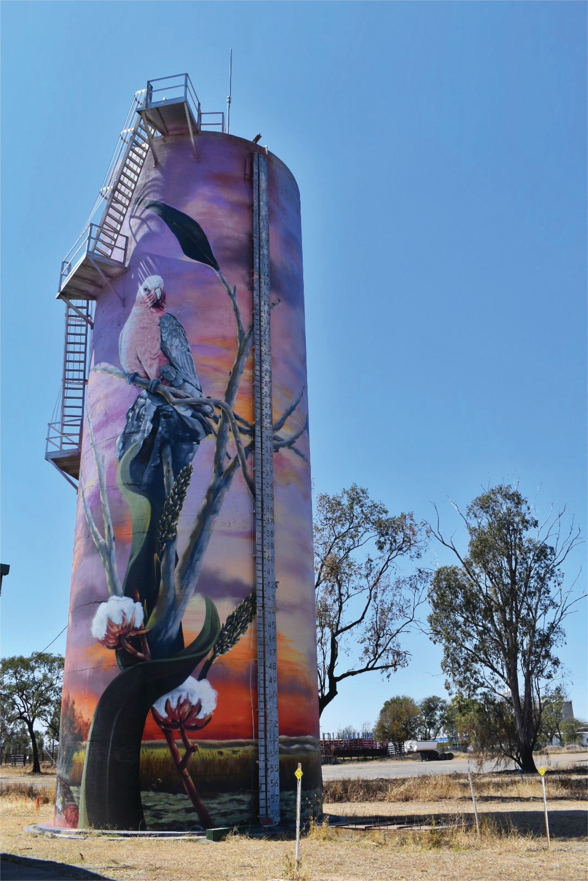 Moura Water Tower Art, Australian Silo Art Trail