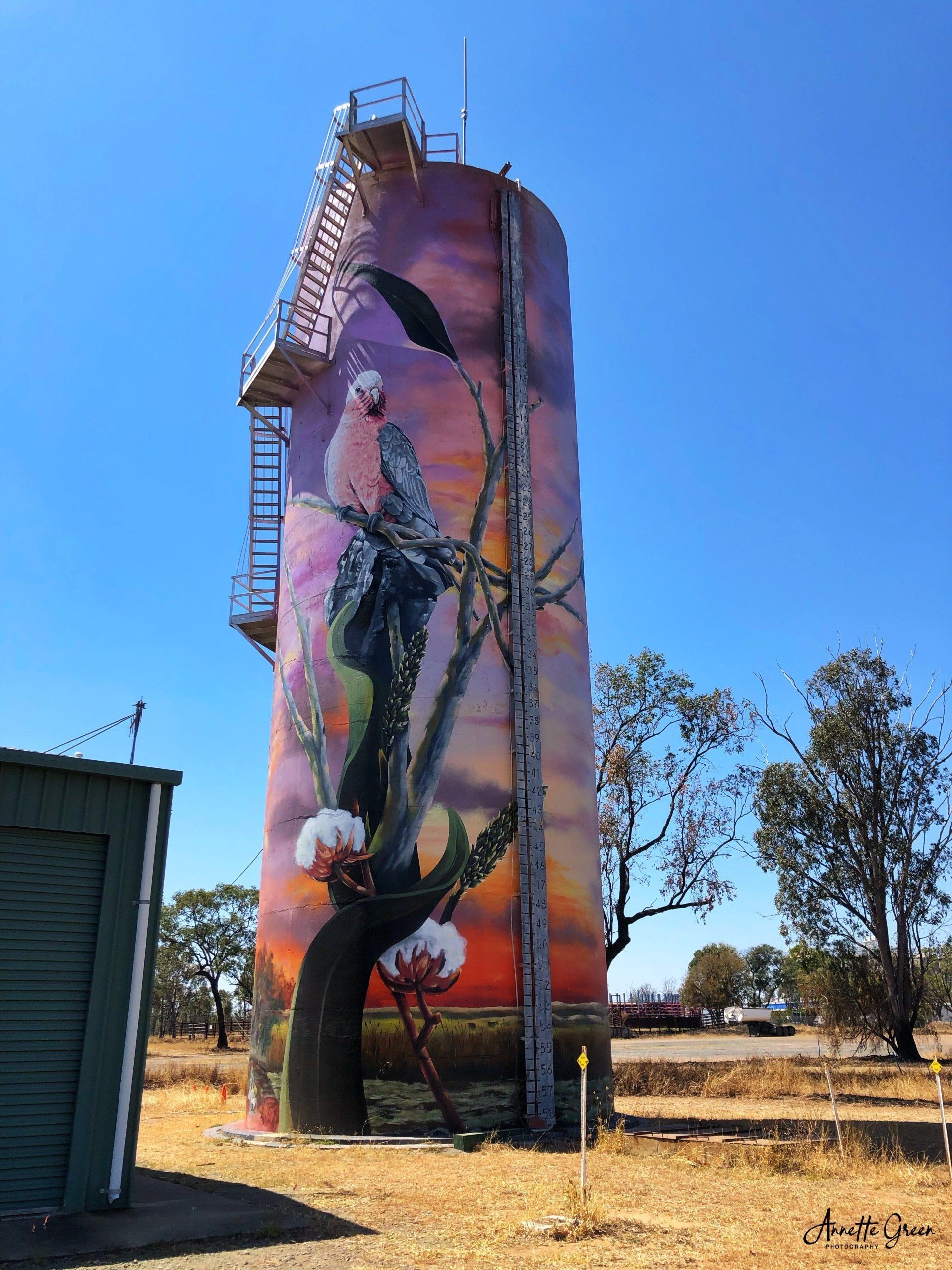 Moura Water Tower Art, Australian Silo Art Trail