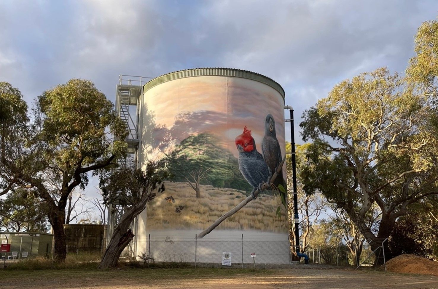 Bourke Water Tower Art, Australian Silo Art Trail