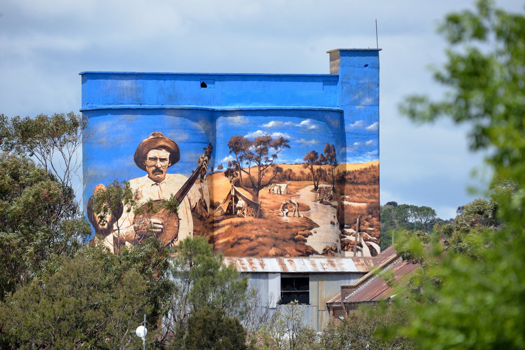 Murrumburrah Silo Art
