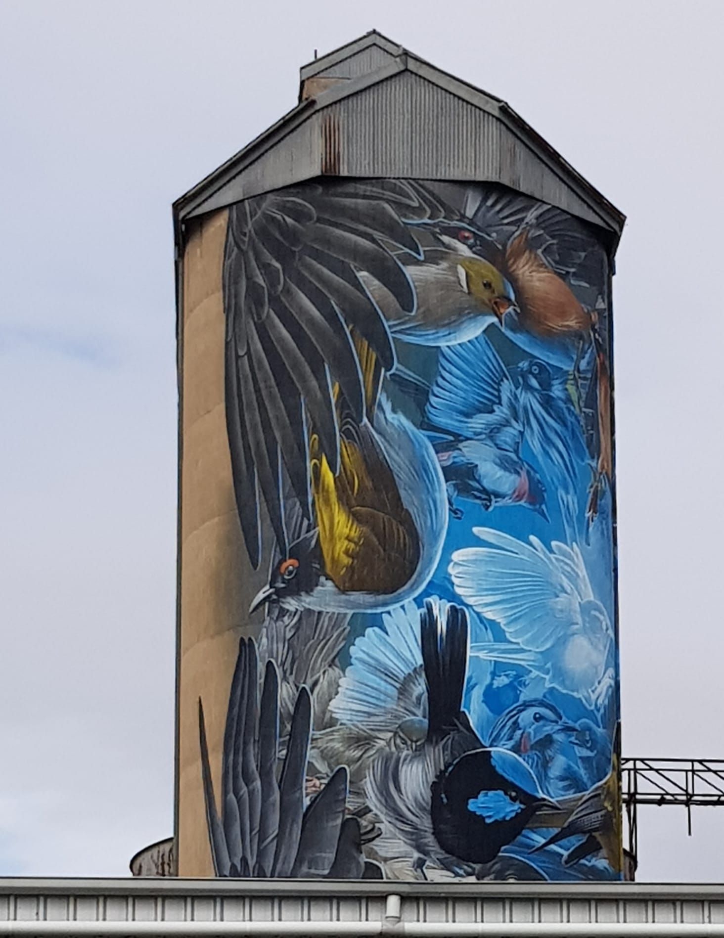 Mutoa Silo Art