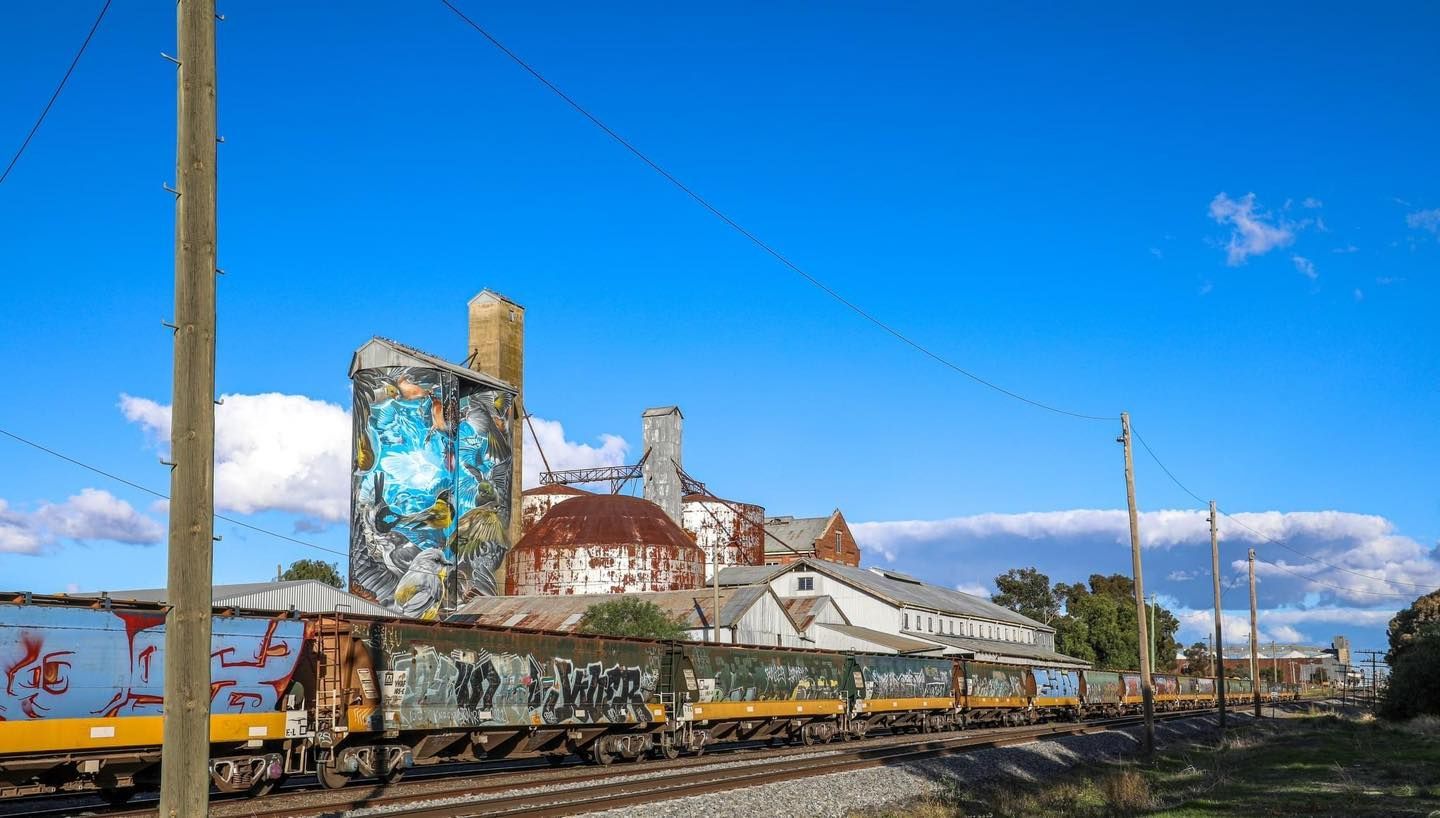 Murtoa, Australian Silo Art Trail, Water tower art, SIlo Art
