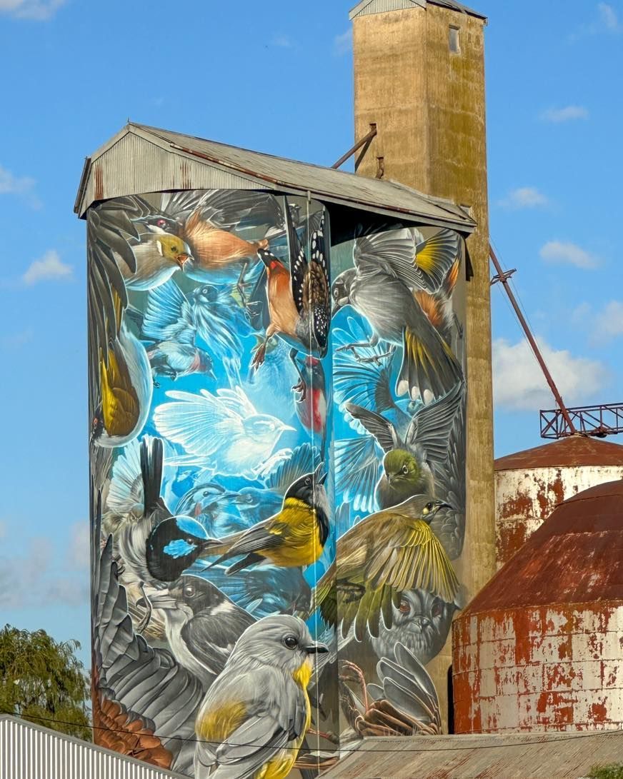 Murtoa Silo Art, Australian Silo Art Trail