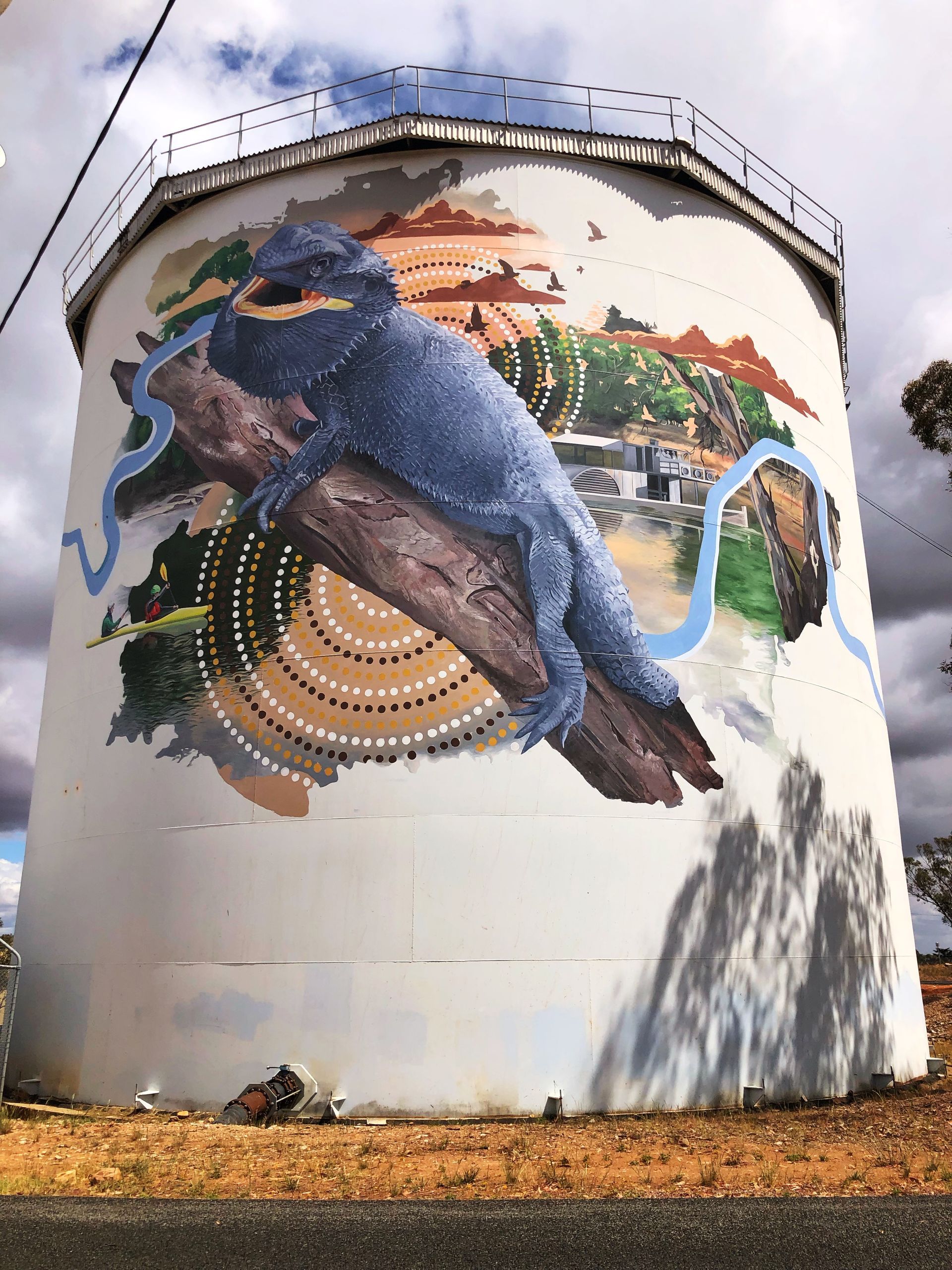 Narrandera Water Tank Art, Australian Silo Art Trail