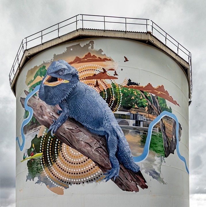 Australian Silo Art Trail, New South Water Water Tower Art,  Narrandera  Water Tower Art