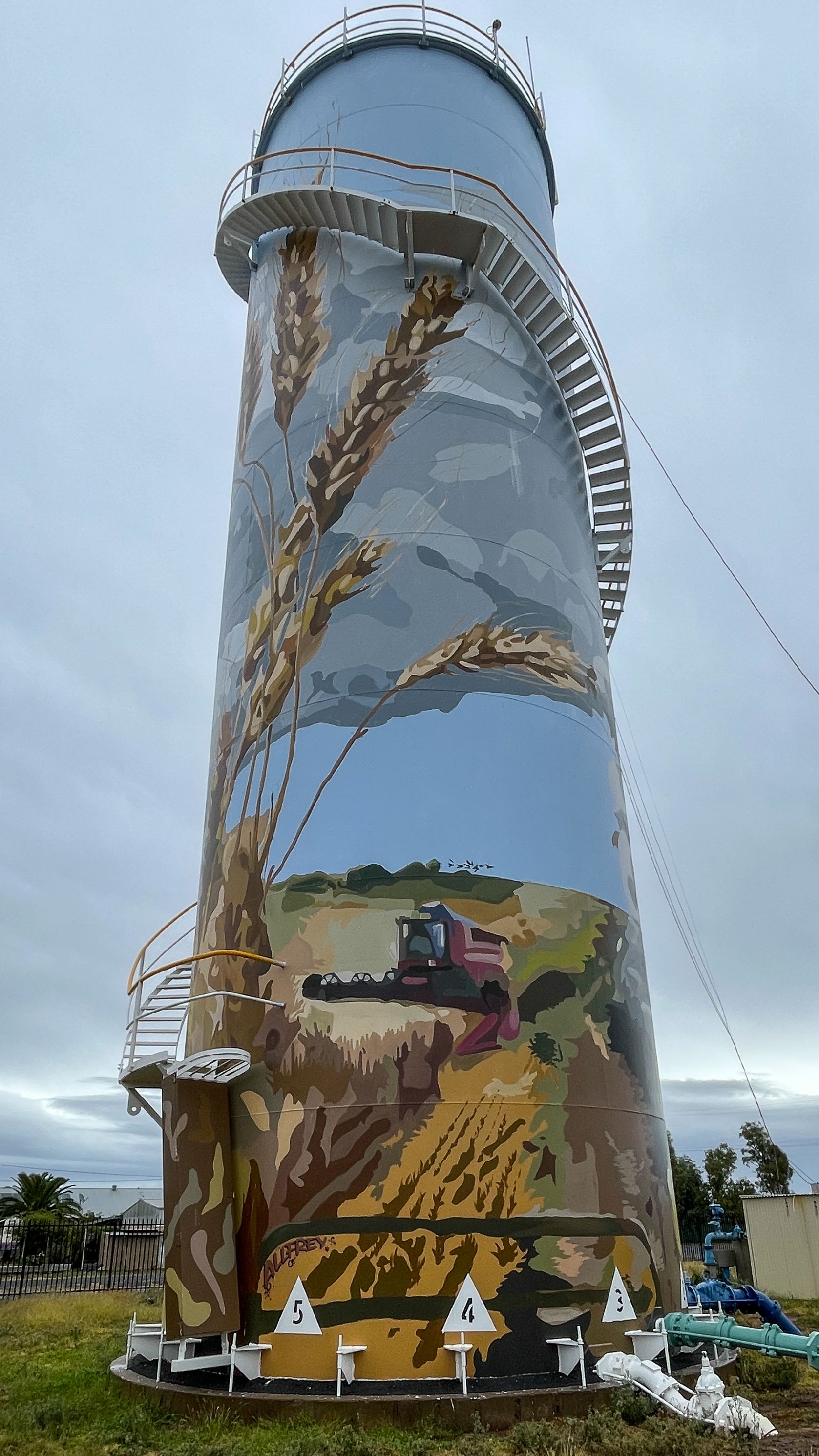 Nevertire Water Tower Art, Australian Silo Art Trail