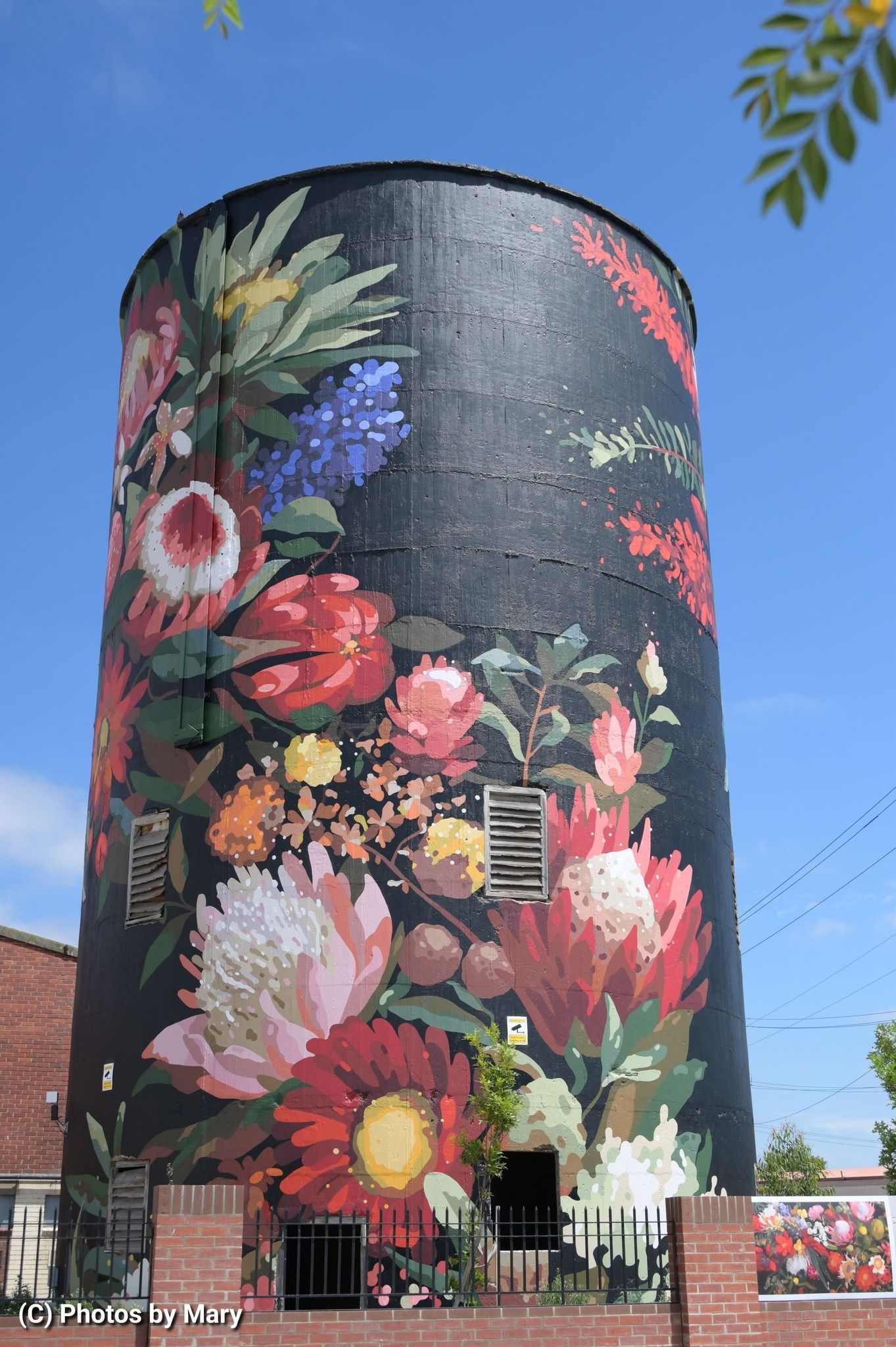 North Geelong, Australian Silo Art Trail, Water tower art, SIlo Art