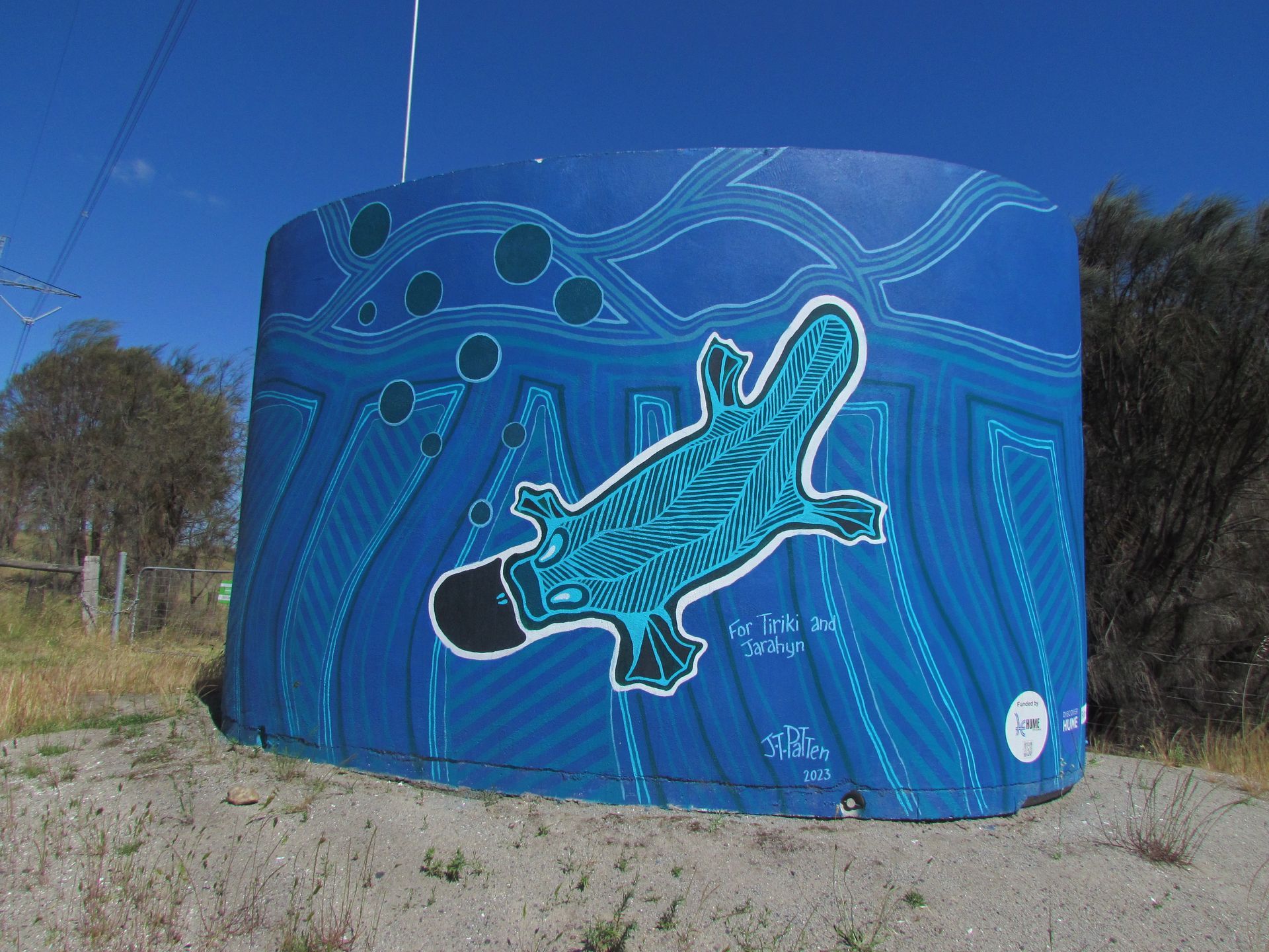 Australian Silo Water Tower Art, Australian Silo Art Trail, Bayles Water Tower Art