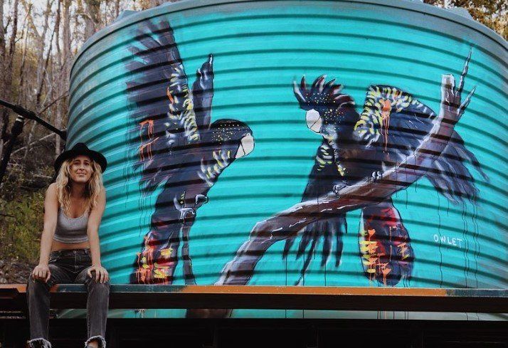 Australian Silo Art Trail, Owlet, Water Tower Artist, Street Artist
