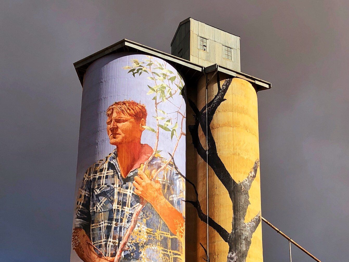 Patchewollock Silo Art, Australian Silo Art Trail, Fintan Magee