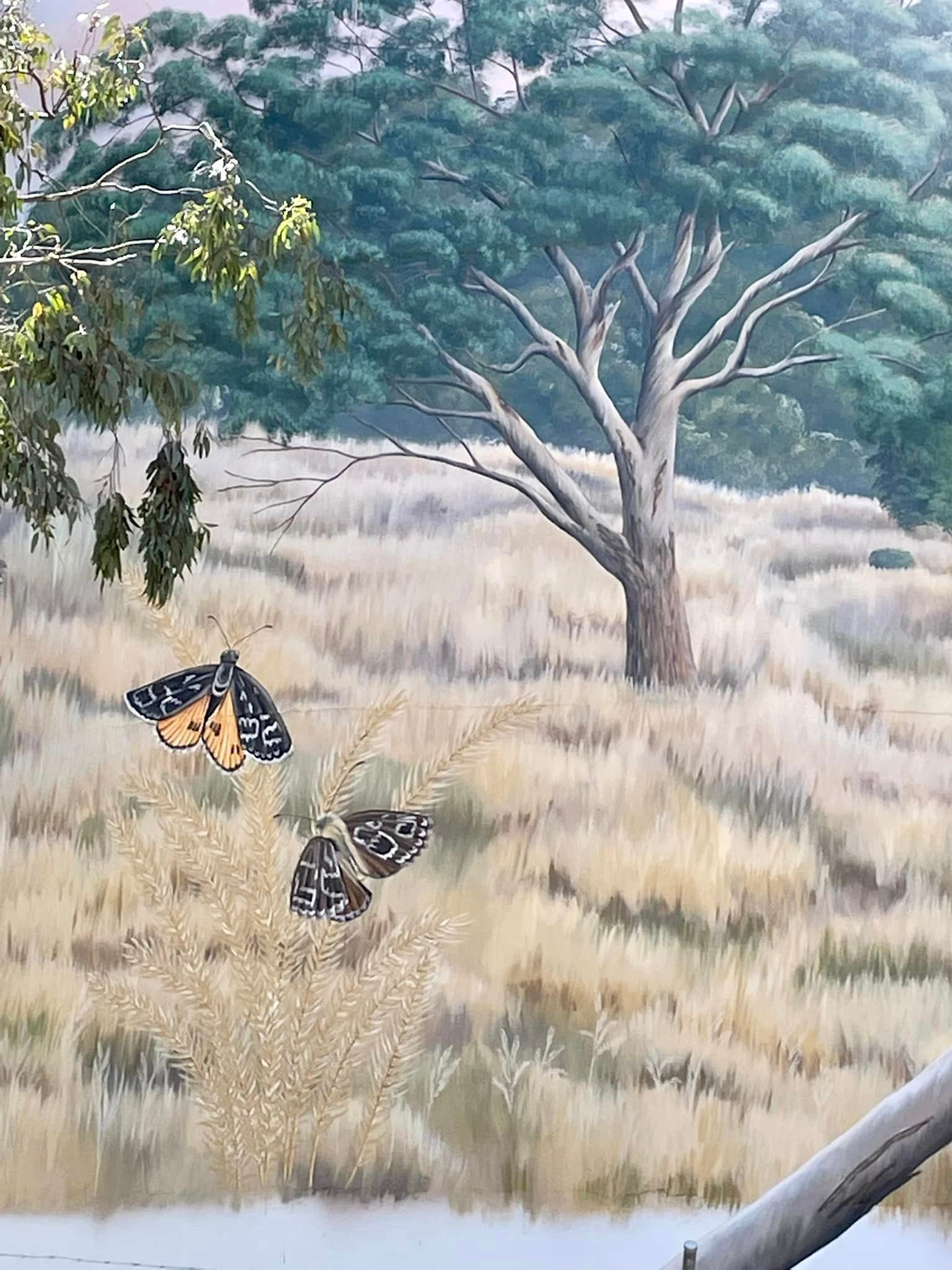 Murrumbateman  Water Tank Art, Australian Silo Art Trail