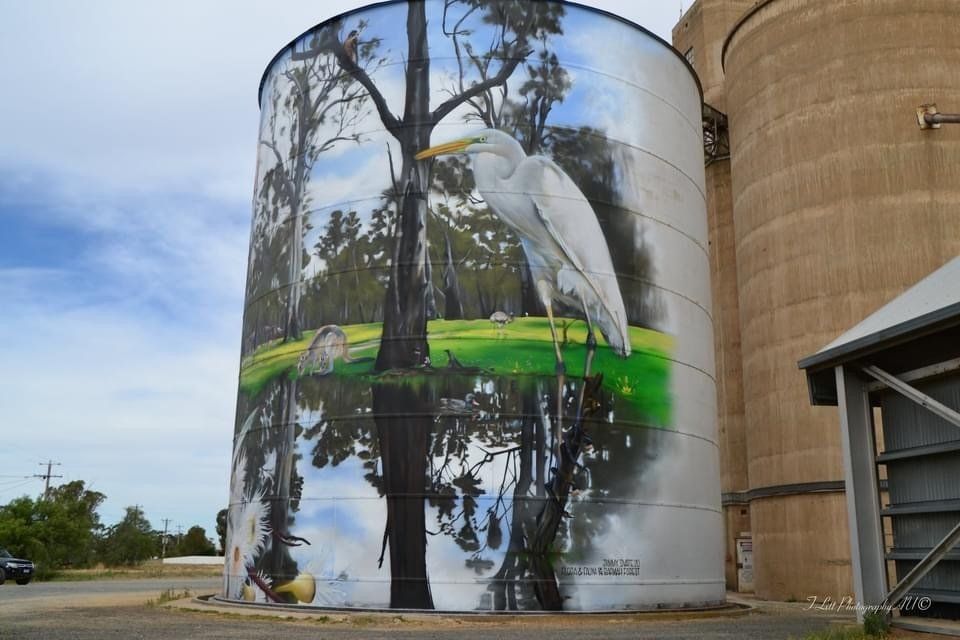 Australian Silo Art Trail, Picola Silo Art, Jimmy Dvate
