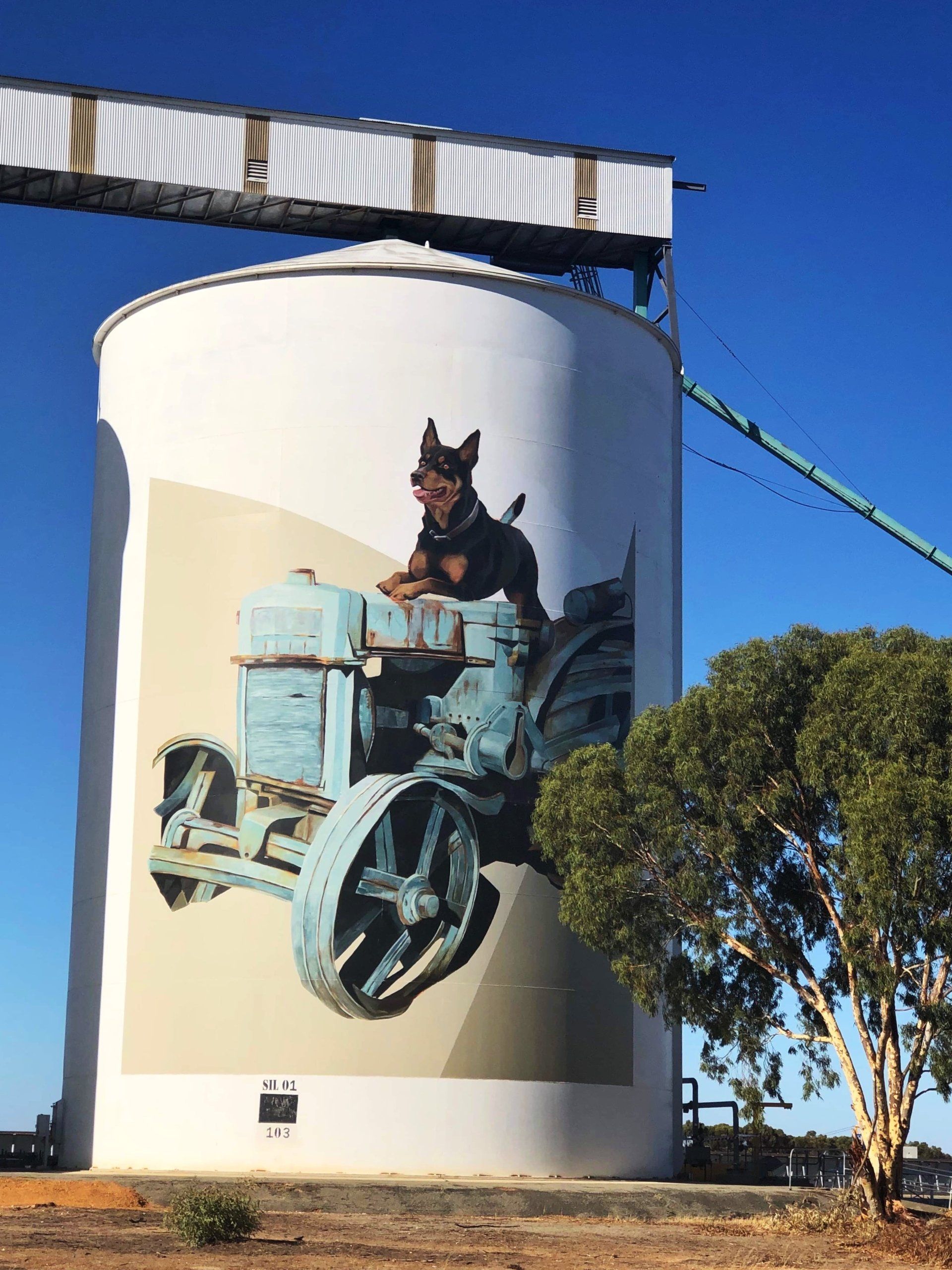 Pingrup Silo Art, Australian Silo Art Trail, Evoca1, FORM PUBLIC SILO TRAIL WA