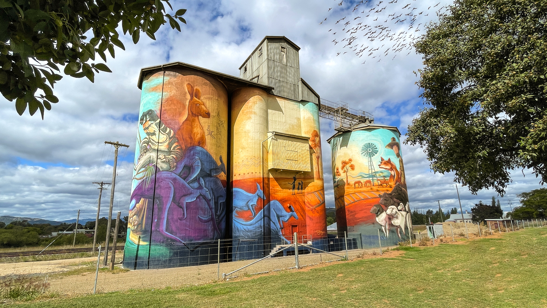 Barraba Silo Art, Australian Silo Art Trail