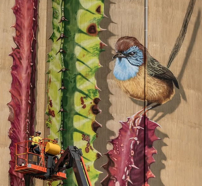 Albacutya Silo Art, Australian Silo Art
