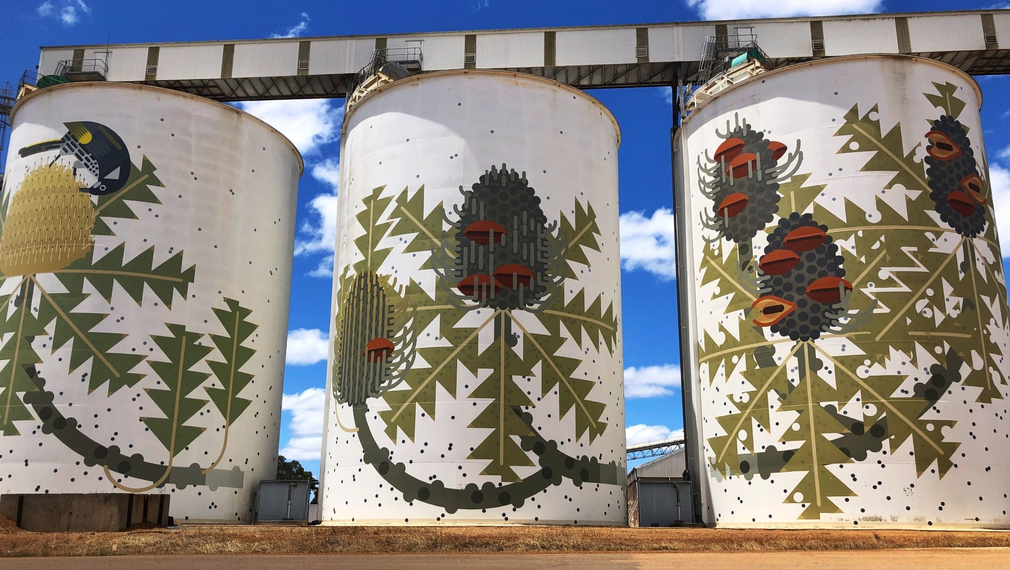 Ravensthorpe Silo Art Western Australia