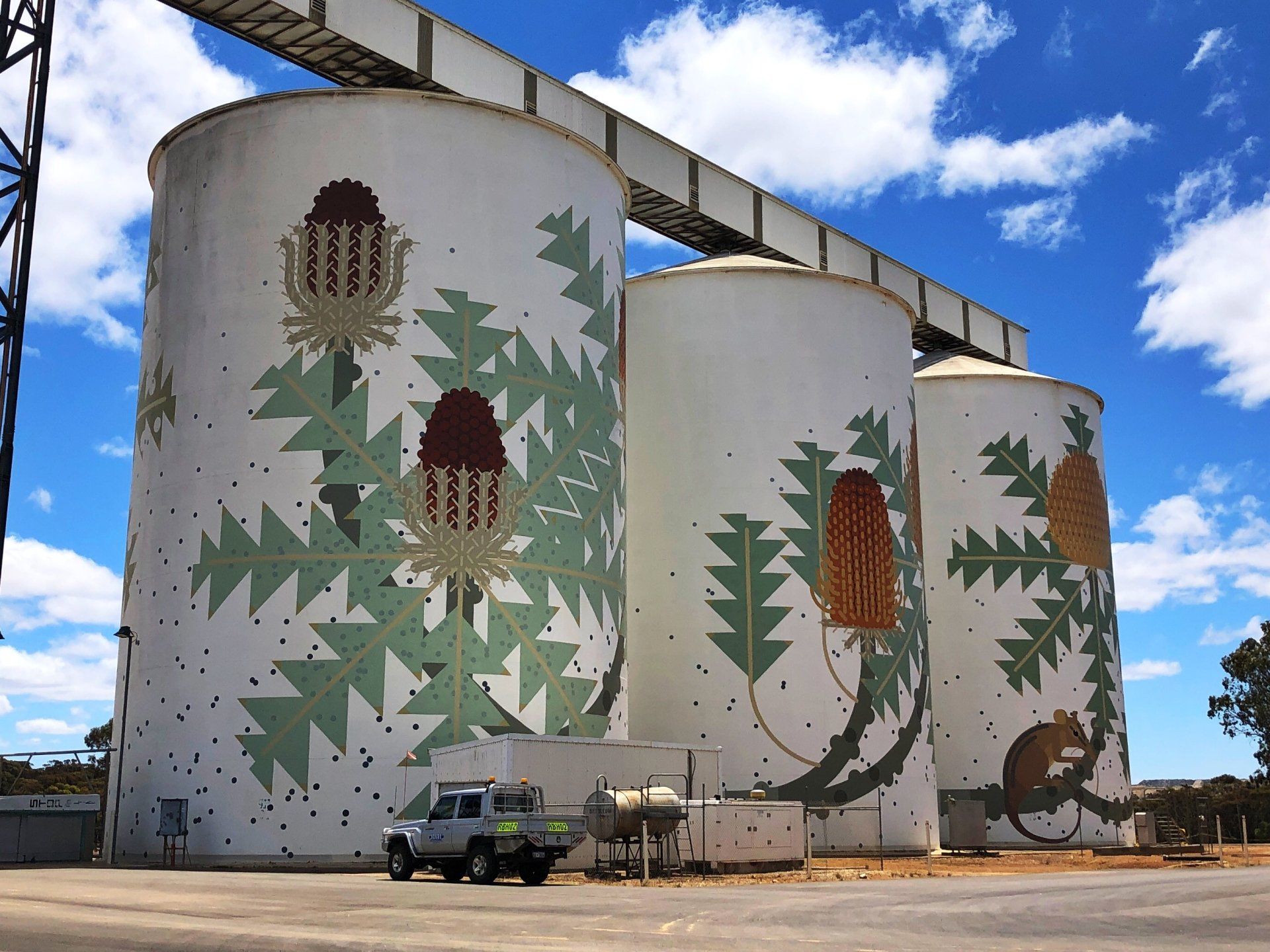 Ravensthorpe Silo Art, Australian Silo Art Trail, Amok Island, FORM PUBLIC SILO TRAIL WA