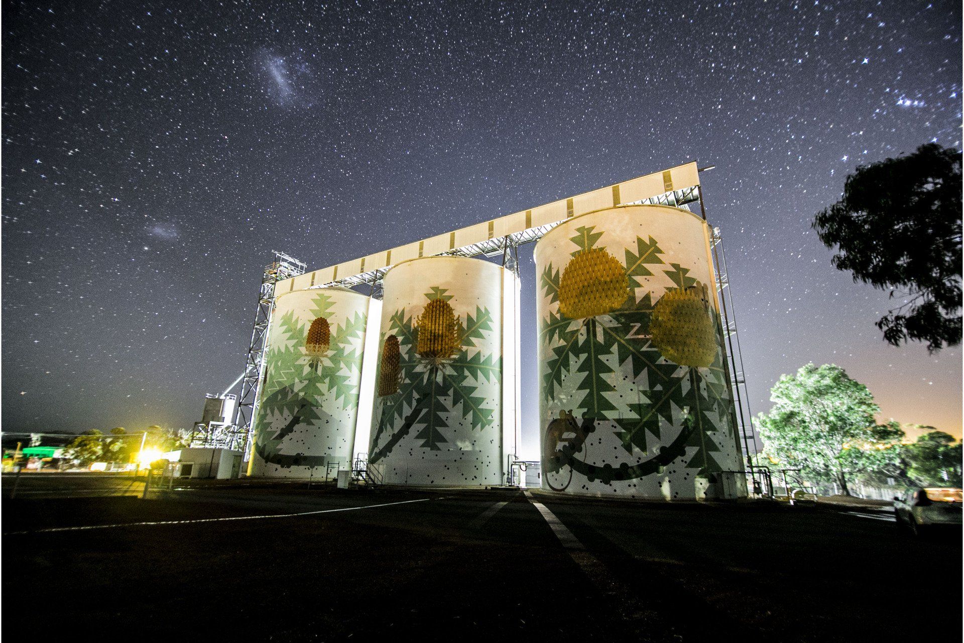 Newdegate Silo Art, Western Australia silo art, Australian Silo Art Trail, PUBLIC SILO  TRAIL IN WESTERN AUSTRALIA