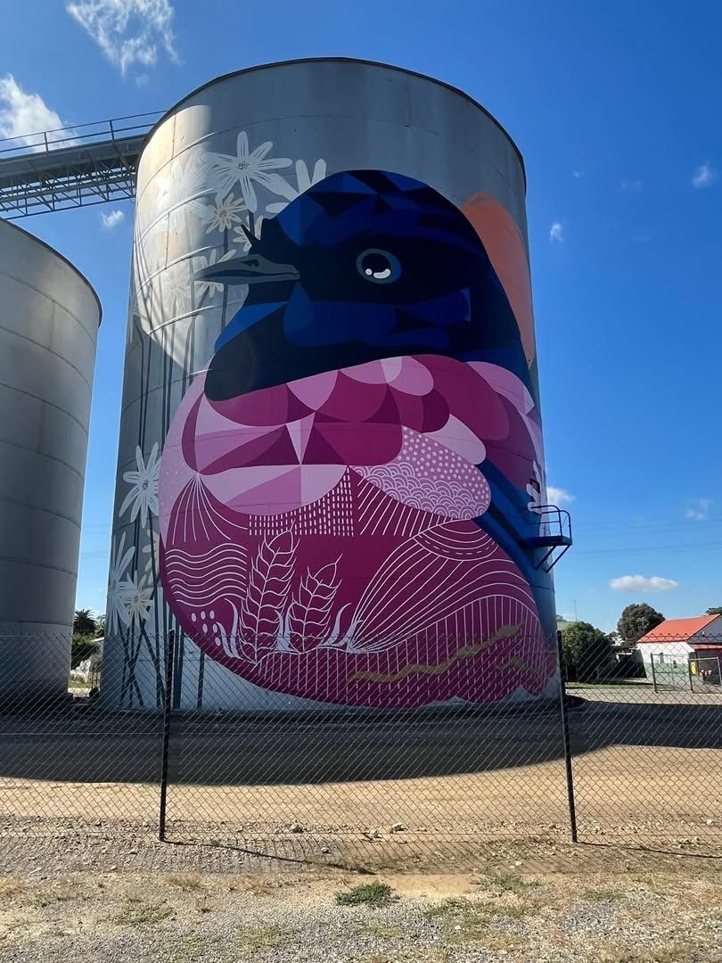 Rochester Silo Art, Australian Silo Art Trail, Jimmy DVate