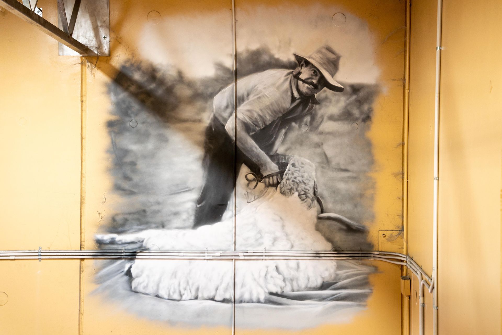 Jacob Butler (Shakey) Australian Silo Art Trail