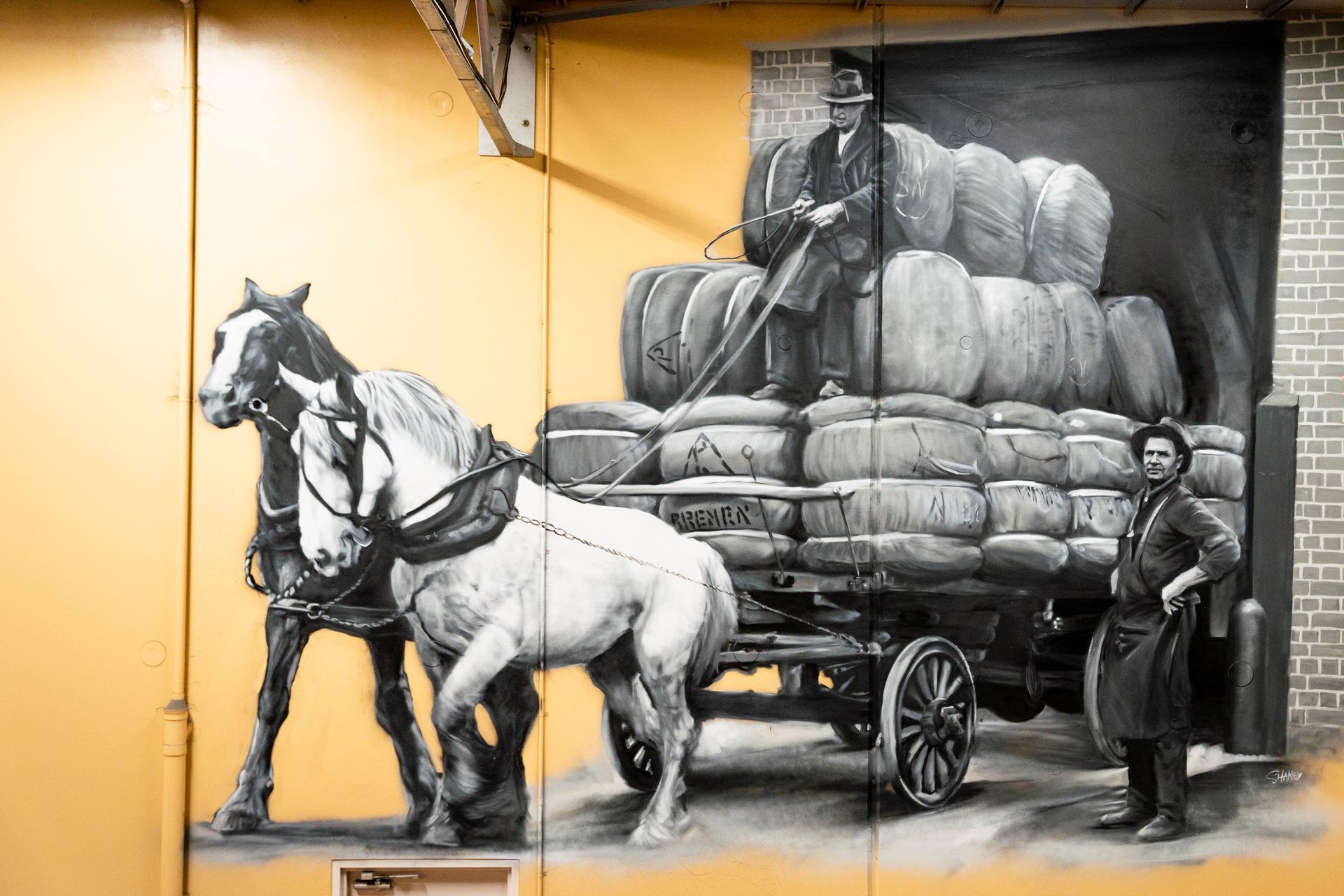 Jacob Butler (Shakey) Australian Silo Art Trail