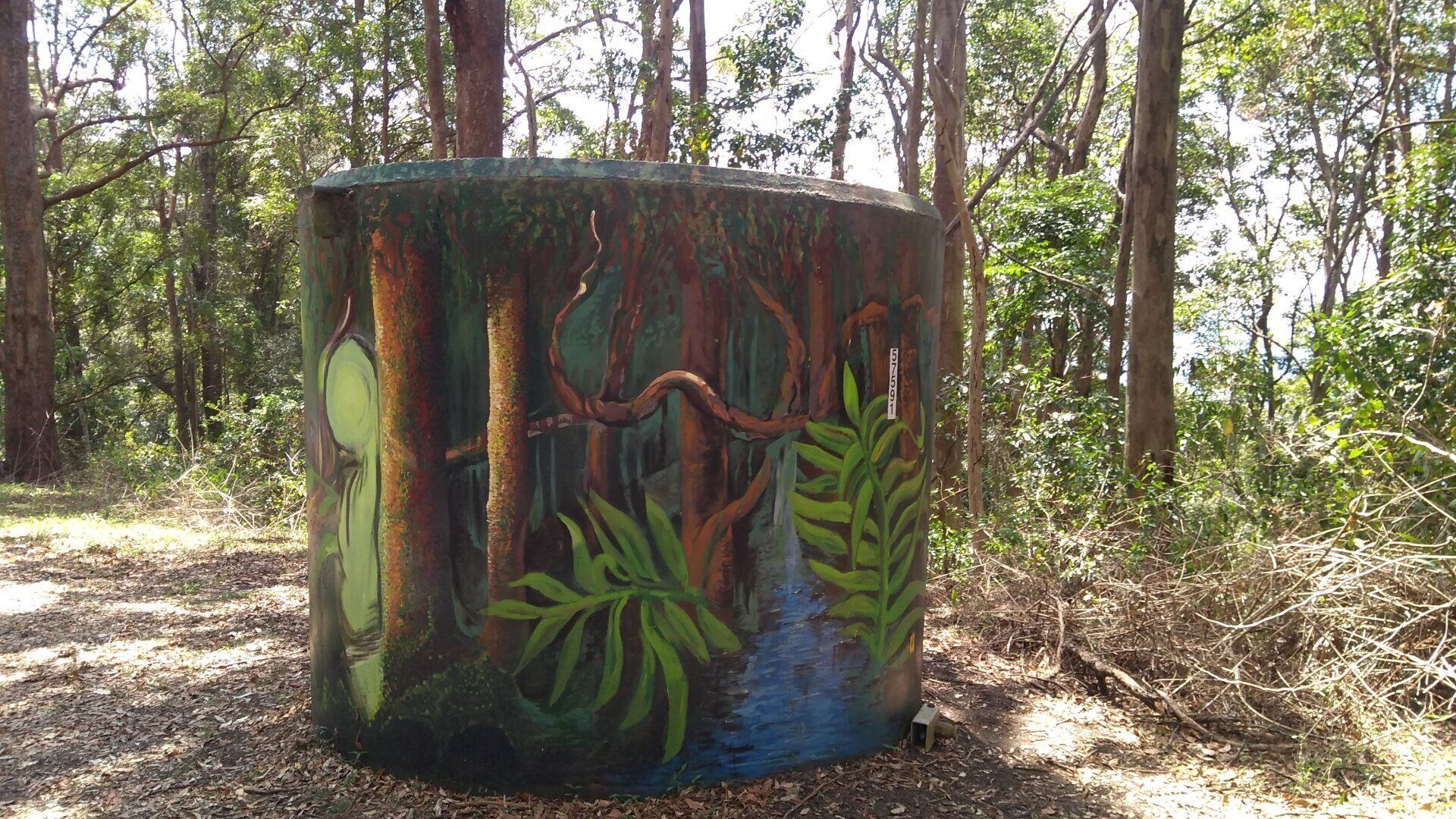 Spring Brook Water Tank, Australian Silo Art Trail