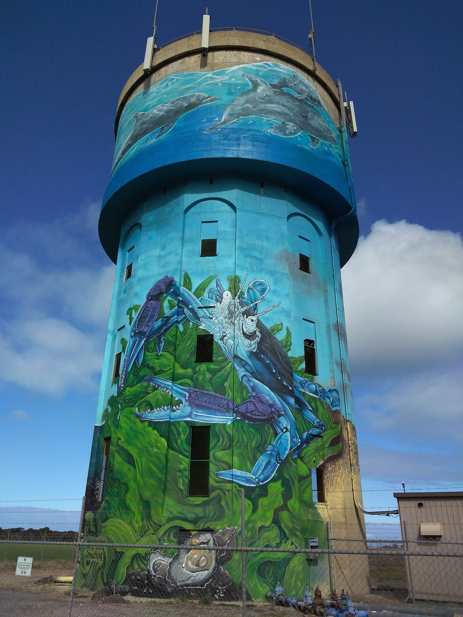 Stansbury Water Tower Art, Australian Silo Art Trail