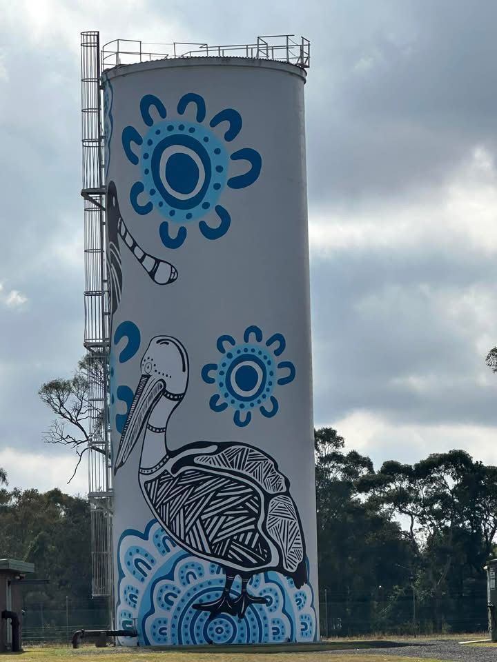 Lismore Water Tower Art, Australian Silo Art Trail