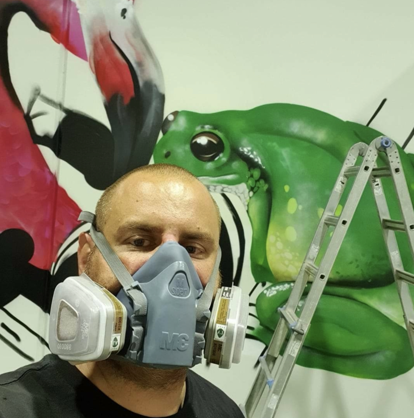 Australian Silo Art Trail, Drule, Silo Artist, Street Artist