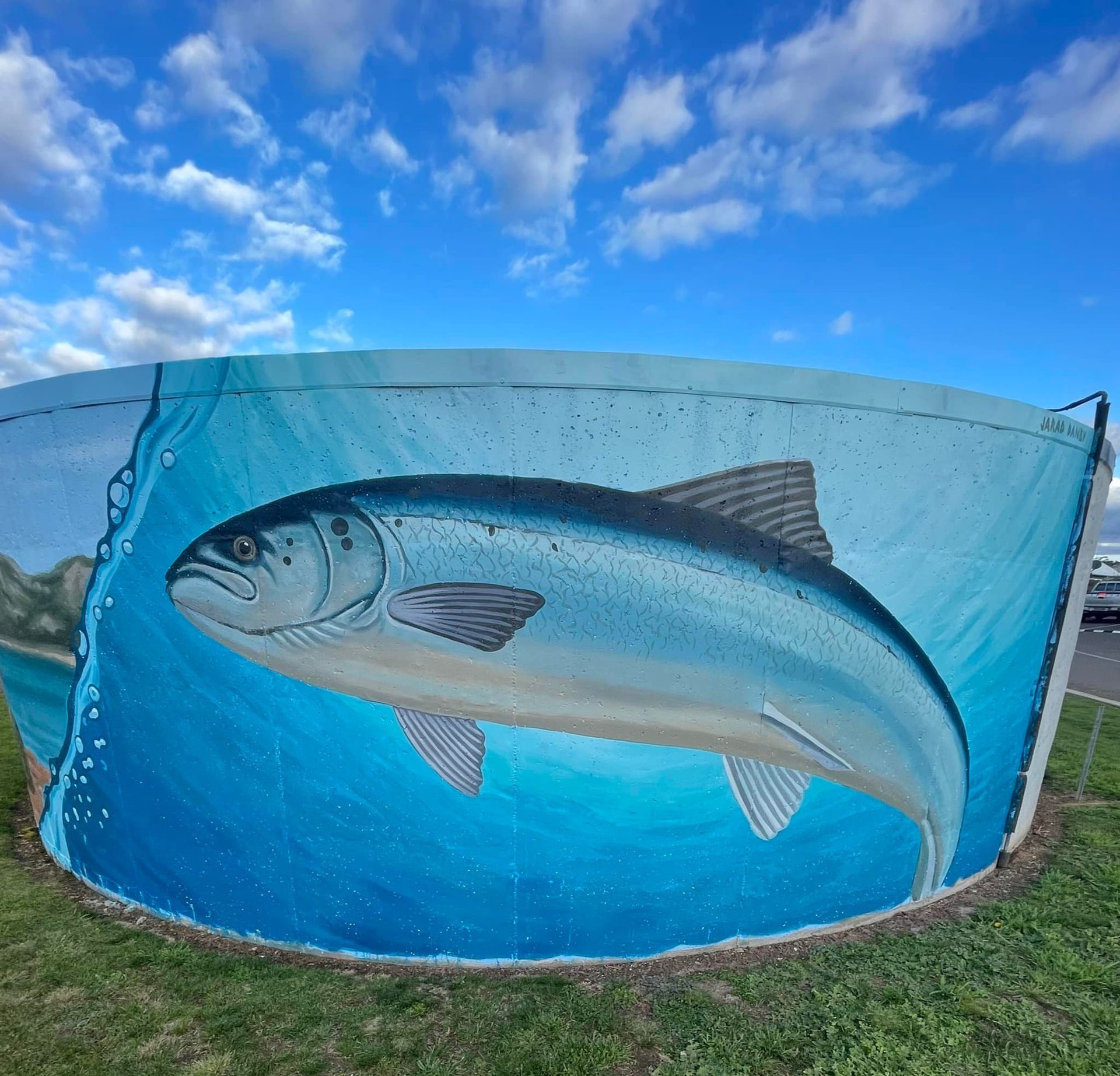 Swansea Water Tank Art, Australian Silo Art Trail