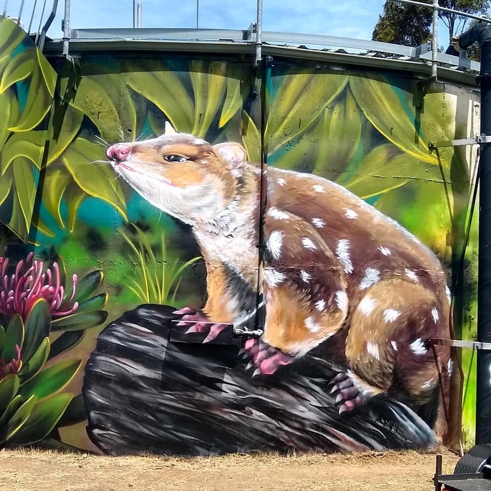 Tea Tree Water Tank Art, Australian Silo Art Trail