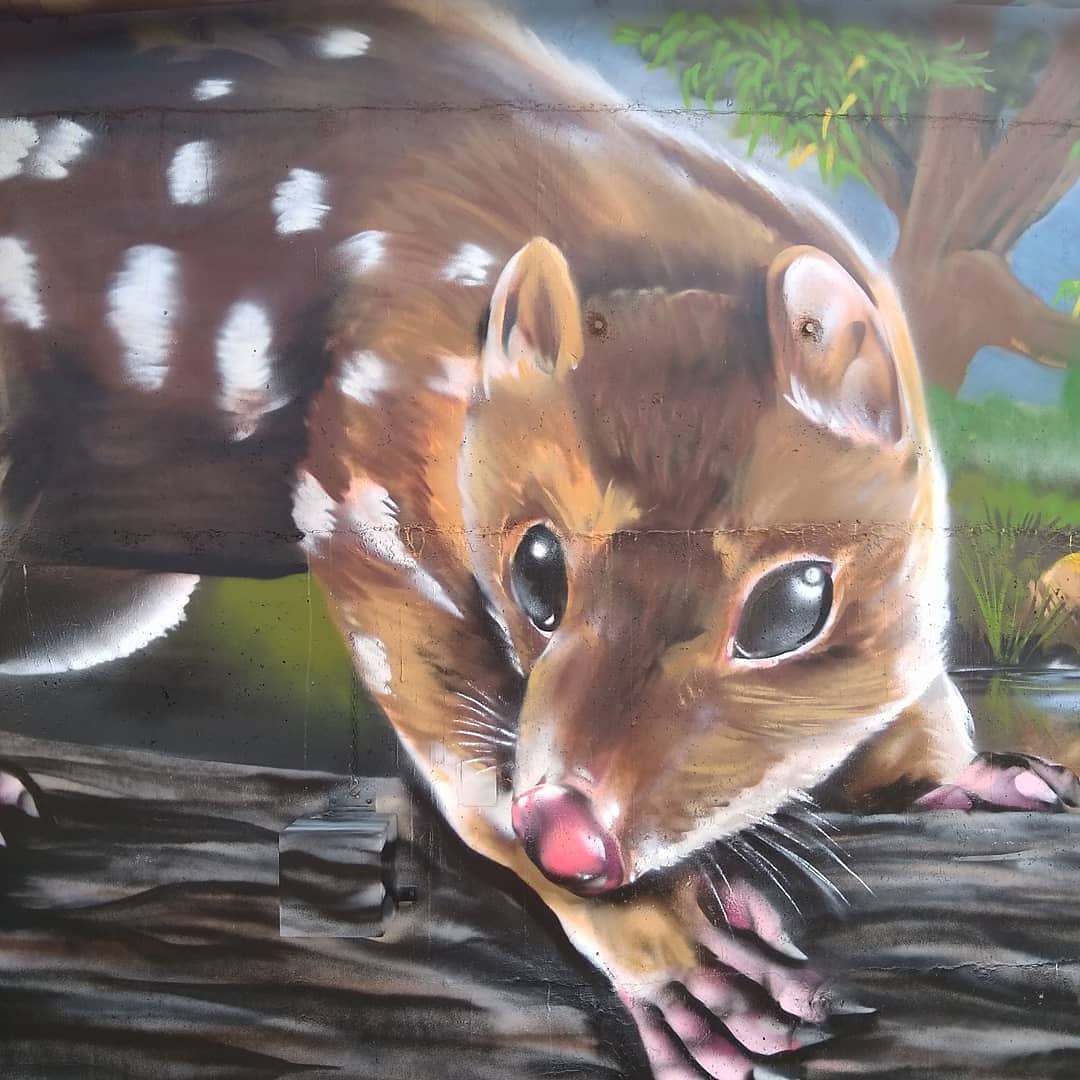 Tea Tree Water Tank Art, Australian Silo Art Trail