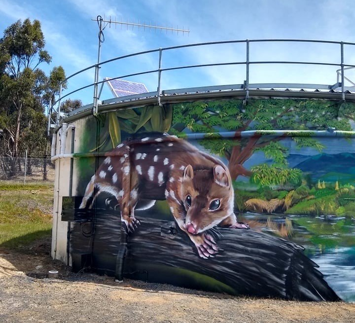 Tea Tree Water Tank Art, Australian Silo Art Trail