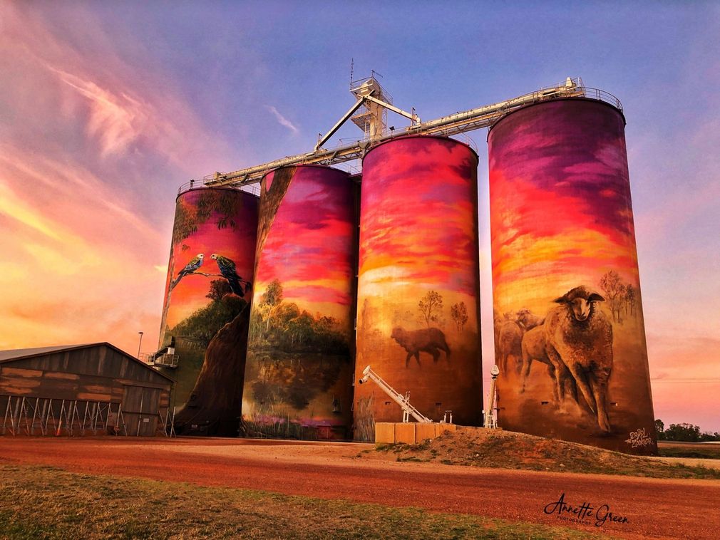 Thallon silo art