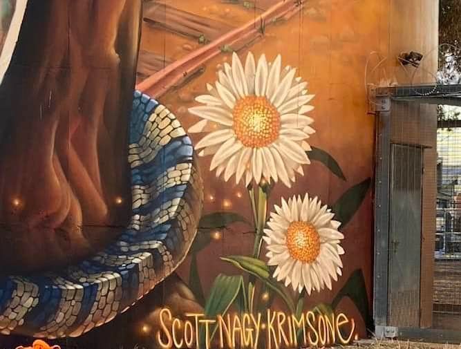 Totenham Water Tower Art, Australian Silo Art Trail