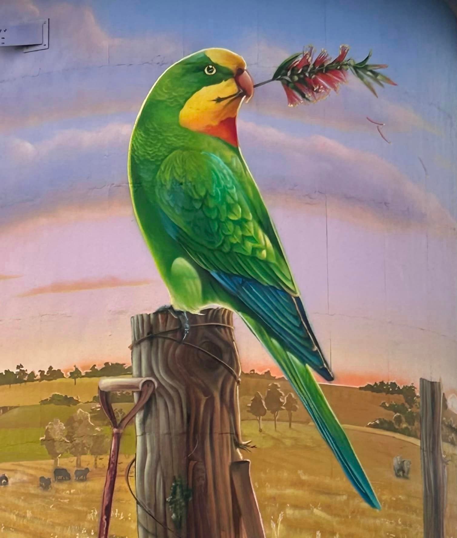 Totenham Water Tower Art, Australian Silo Art Trail