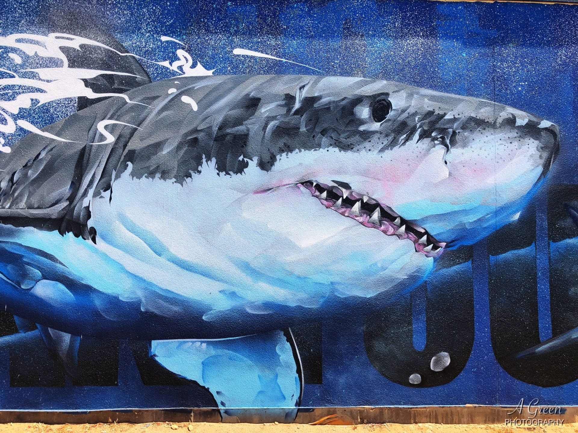 Colour Tumby Bay, Australian Silo Art Trail